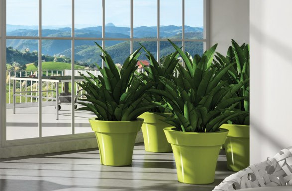Vaso Miscia Gloss