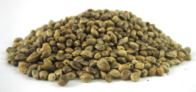 Hemp Seeds