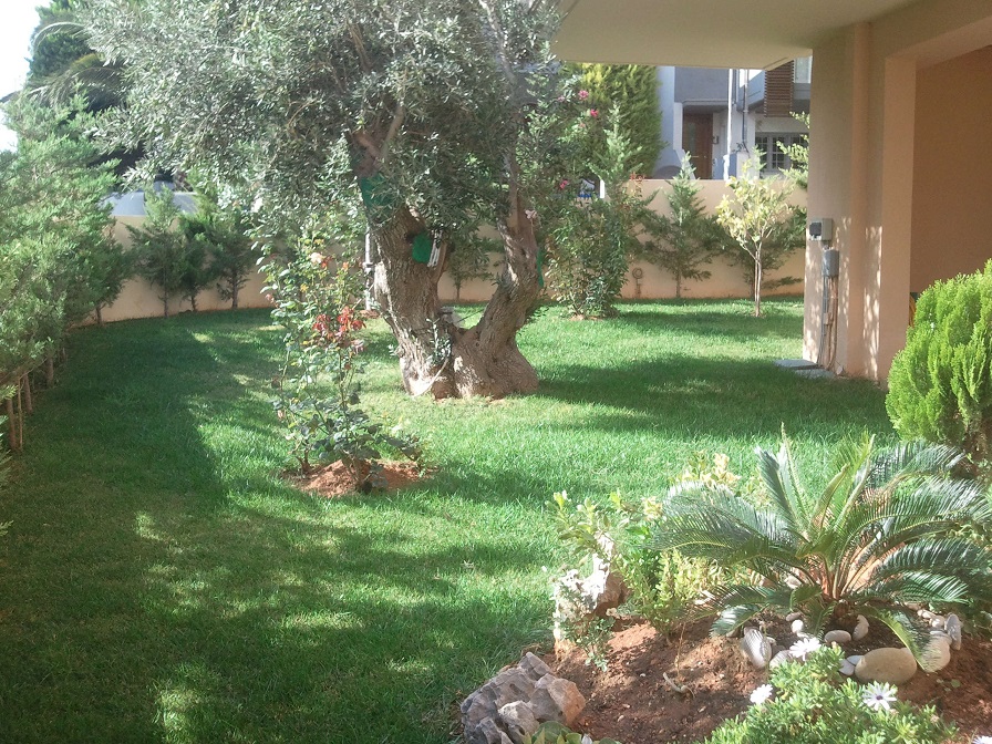 Καθαρισμός κήπων