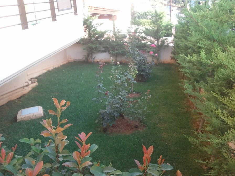 Καθαρισμός κήπων Ανατολική Αττική