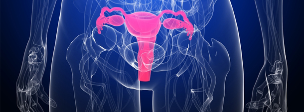 Ουρολόγος Βραυρώνα, Ουρολόγος Λούτσα, Ανδρολόγος Αρτέμιδα