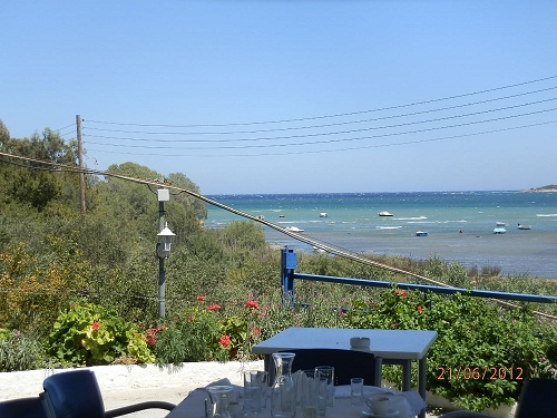 seafood, fresh fish, ouzo, wine, tsipouro, seafood appetizers with ouzo by the sea