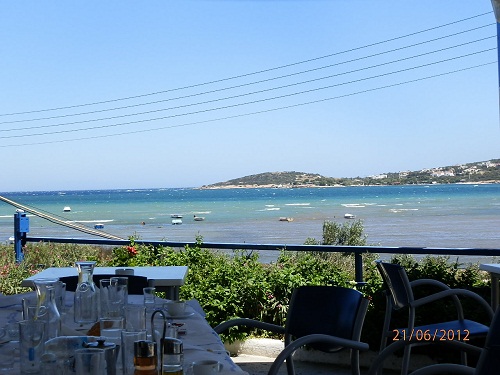 alexandros tavern with ouzo and fresh fish Vavrona near Athens. Tavern, restaurant, fish house artemis in vavrona with sea view