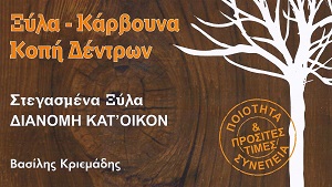 ΚΡΙΕΜΑΔΗΣ ΒΑΣΙΛΗΣ