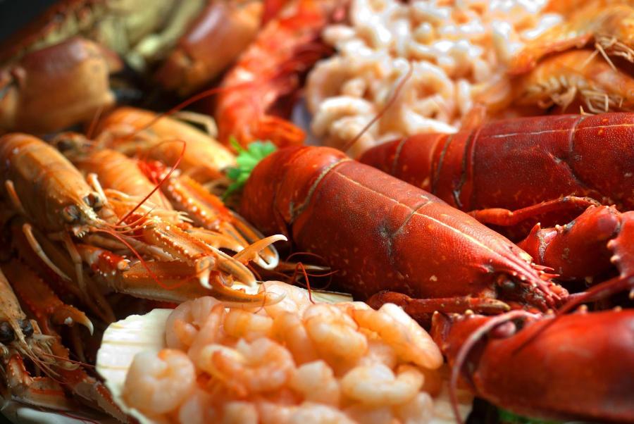 Ιχθυοπωλείο Χολαργός, διανομή ψαριων Χολαργός