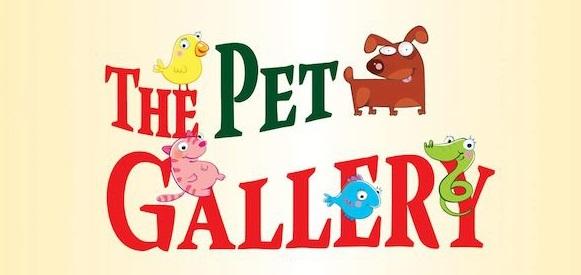 The pet gallery