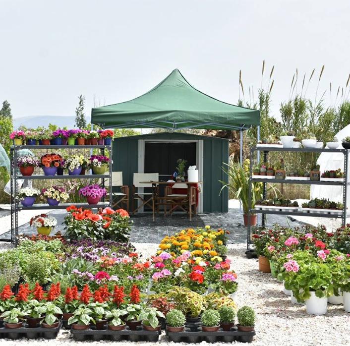 Άνθη Φυτά Παιανία, Φυτώρια Παιανία, Φυτώρια Γλυκά Νερά, Λουλούδια Παιανία, Λιπάσματα Παιανία, Φυτόχωμα Παιανία