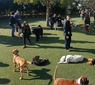 Ομαδικά προγράμματα