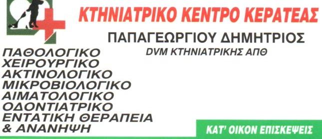 Δημήτρης Παπαγεωργίου