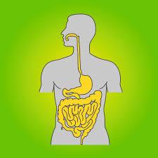 Γαστρεντερολόγος Αιγάλεω, Ηπατολόγος Αιγάλεω, Ενδοσκοπικός έλεγχος πεπτικού Αιγάλεω