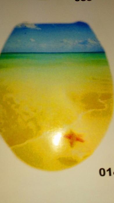 Καλύμματα λεκάνης σε διάφορα σχέδια