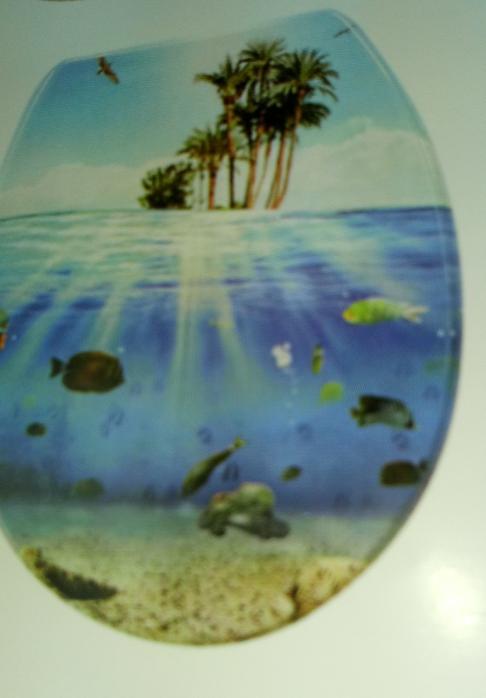 Καλύμματα λεκάνης σε διάφορα σχέδια