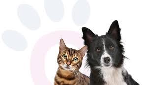 Κτηνίατρος Νέο Ηράκλειο, Κτηνίατροι Νέο Ηράκλειο, Κτηνιατρείο Νέο Ηράκλειο