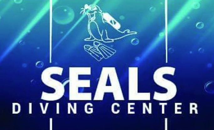 Seals Diving Center, Σχολή Κατάδυσης Πειραιάς