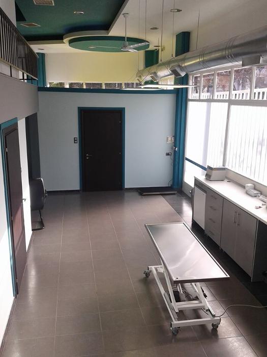 Κτηνίατροι Κάτω Πατήσια, Κτηνίατρος Κάτω Πατήσια, Ιατρεία μικρών ζώων Κάτω Πατήσια, chip ζώων, σήμανση κατοικιδίων Πατήσια