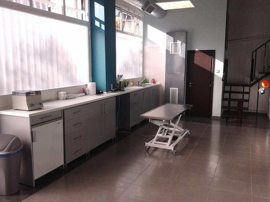 Κτηνιατρείο, Στείρωση σκύλου Πατήσια, Στείρωση γάτας Πατήσια, Κτηνίατροι Πατήσια