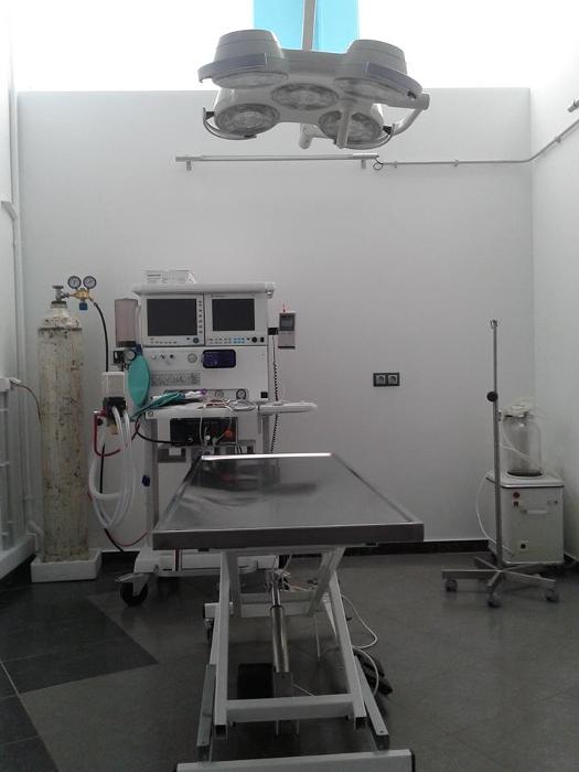 Χριστόπουλος Ηλίας, Κτηνίατρος Πατήσια, Κτηνίατροι, Κτηνιατρείο Κάτω Πατήσια Κτηνιατρική Κλινική, Σήμανση Ζώων, Καταγραφή Ζώων Άνω Πατήσια