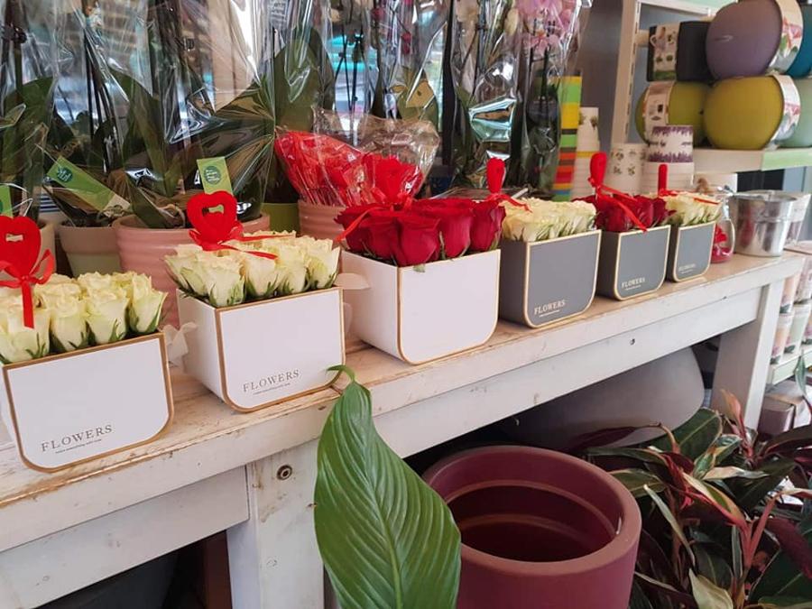 Άνθη Φυτά Βάρη, Φυτώρια Βάρης, Φυτώριο Νότια Προάστια, Αναρριχώμενα φυτά Νότια Προάστια, Οπωροφόρα Δέντρα Νότια Προάστια