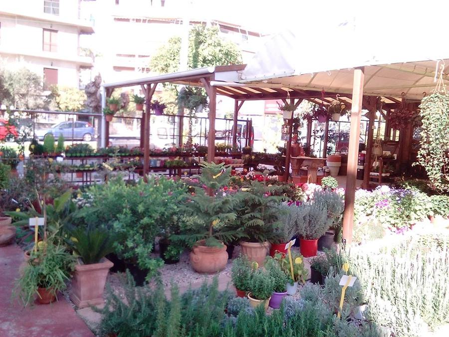 Φυτώρια βιολογικής γεωργίας Αργυρούπολη, Εγκατάσταση αυτόματου ποτίσματος Αργυρούπολη, Μελέτη κήπου Αργυρούπολη
