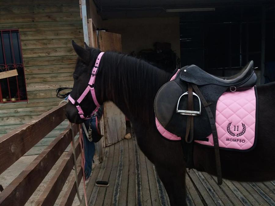 Μαθήματα ιππασίας Ανατολική Αττική, Μαθήματα ιππασίας Βόρεια Προάστια, Μαθήματα ιππασίας για παιδιά Αττική