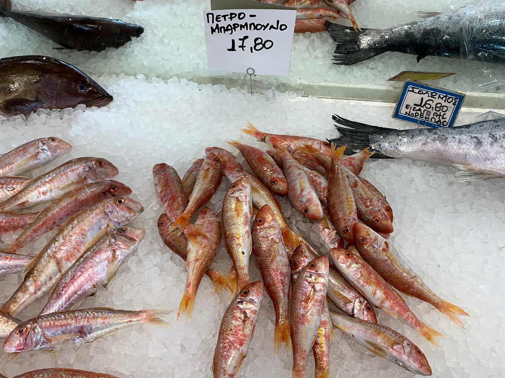 Ιχθυοπωλείο delivery Κερατσίνι, Ιχθυοπωλεία delivery Κερατσίνι, Φρέσκα ψάρια delivery Κερατσίνι