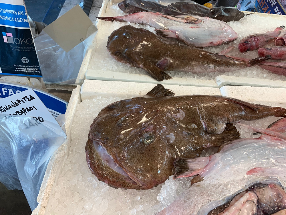 Ιχθυοπωλεία Ευγένια, Χαραυγή, Φρέσκα ψάρια Κερατσίνι, Ιχθυοπωλείο Κερατσίνι, Ιχθυοπωλεία Κερατσίνι