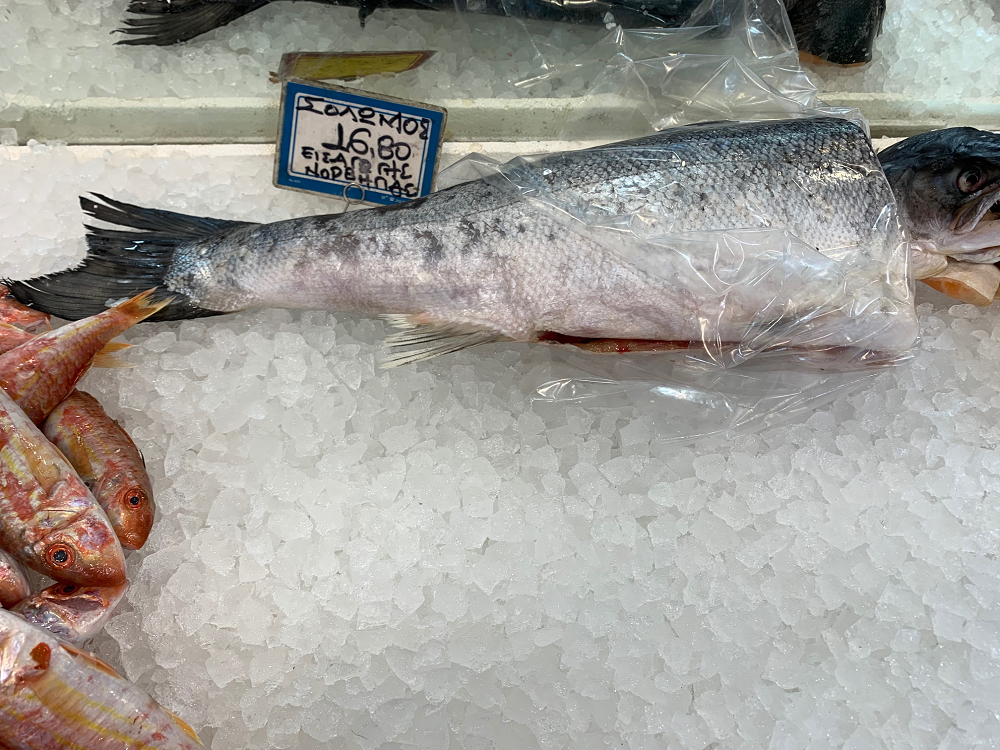 Φρέσκα ψάρια delivery Αμφιάλη, Ιχθυοπωλείο delivery Κερατσίνι, Ιχθυοπωλεία delivery Κερατσίνι