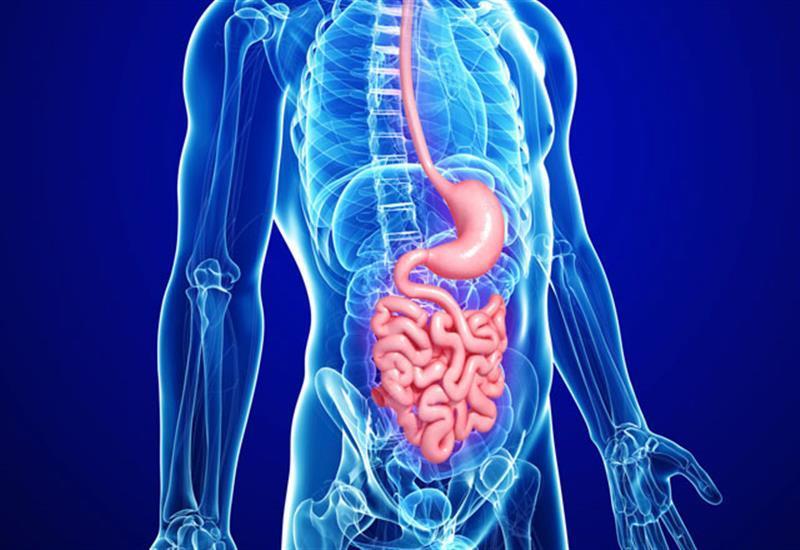 Ολική κολονοσκόπηση Αιγάλεω, Ηπατολογικός έλεγχος Αιγάλεω, Ηπατολογικός έλεγχος Δυτικά Προάστια