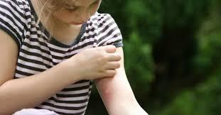 Αντικουνουπικά Korres Μαρούσι, ΦΑΡΜΑΚΕΙΟ ΜΑΡΟΥΣΙ, ΦΑΡΜΑΚΕΙΑ ΜΑΡΟΥΣΙ