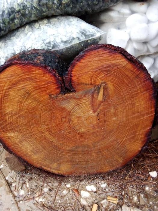 Διακοσμητικά Ξύλα Νέα Μάκρη