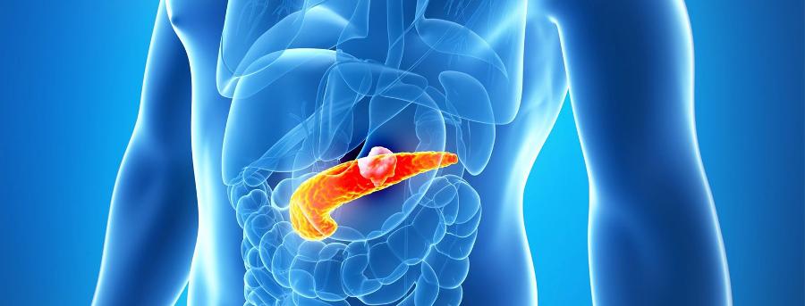 Ενδοκρινολόγος Ασπρόπυργος, Ενδοκρινολόγοι Ασπρόπυργος