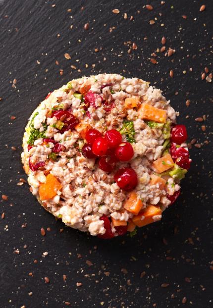 Μαγειρευτό φαγητό για σκύλους