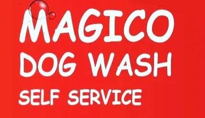 Magico self dog wash