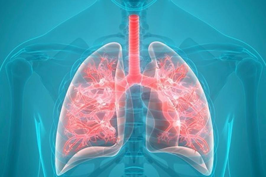 Πνευμονολόγοι Παγκράτι, Φυματιοόγοι Παγκράτοι, διαταραχές αναπνοής στον ύπνο Παγκράτι, ΧΑΠ Παγκράτι