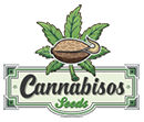 Cannabisos Seeds