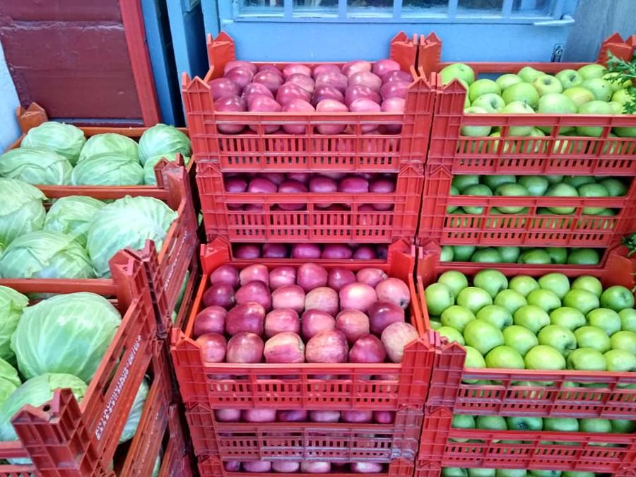 ΤΡΟΦΟΔΟΣΙΕΣ ΚΑΤΑΣΤΗΜΑΤΩΝ ΒΟΛΟΣ, ΔΙΑΝΟΜΕΣ ΦΡΟΥΤΩΝ ΚΑΙ ΛΑΧΑΝΙΚΩΝ ΒΟΛΟΣ: VEGGIE STREET