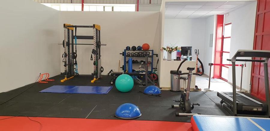 Φοίνικας, Ενόργανη Ρυθμική Γυμναστική Πεύκη