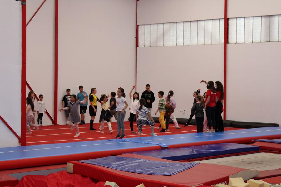 Φοίνικας, Αθλητικό Κέντρο Πεύκη, Τραμπολίνο, Ενόργανη Γυμναστική, Ρυθμική Γυμναστική Πεύκη, Τμήματα ενηλίκων, Γενική γυμναστική, Διοργάνωση γενεθλίων, Πάρτι Πεύκη