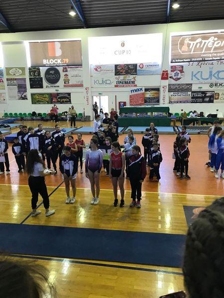 Γενική Γυμναστική Πεύκη, Ενόργανη Γυμναστική Πεύκη, Ρυθμική Γυμναστική Πεύκη, Τραμπολίνο Πεύκη, Parkour Παρκούρ Πεύκη, Aerial yoga Πεύκη