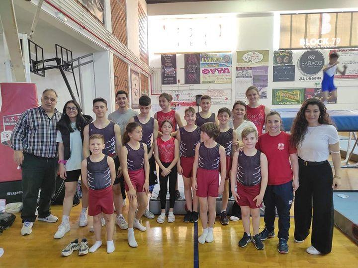 Φοίνικας, Ενόργανη Γυμναστική Πεύκη