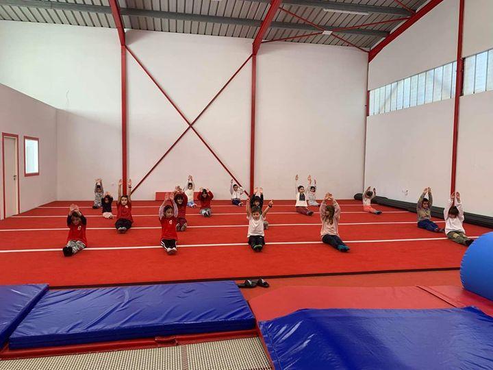 ΤΡΑΜΠΟΛΙΝΟ ΠΕΥΚΗ