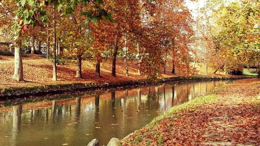 ΦΩΤΟΓΡΑΦΟΙ ΧΟΛΑΡΓΟΣ, ΦΩΤΟΓΡΑΦΟΙ ΠΑΠΑΓΟΥ: Φωτογράφος Χολαργός, Φωτογράφος Παπάγου