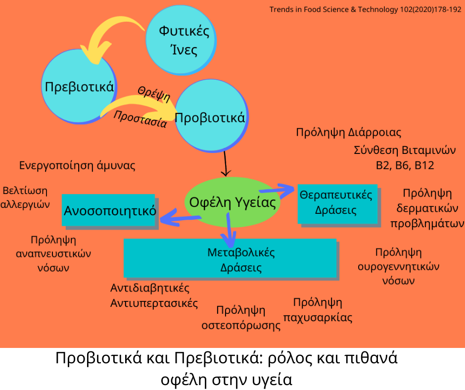 Πρώτη Συνεδρία