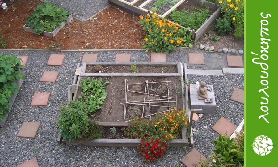 κοπή δέντρων Μεταμόρφωση, Roof garden Μεταμόρφωση, λαχανόκηπος Μεταμόρφωση, landscaping Μεταμόρφωση, χλοοτάπητες Μεταμόρφωση, βραχόκηπος Μεταμόρφωση, κήπους μυρωδικών Μεταμόρφωση