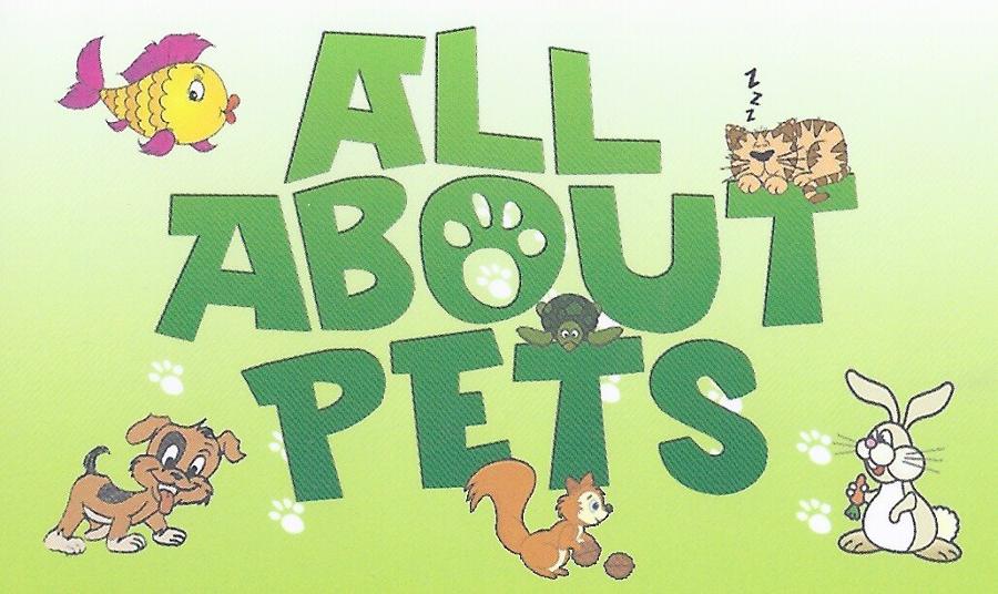 All About Pets