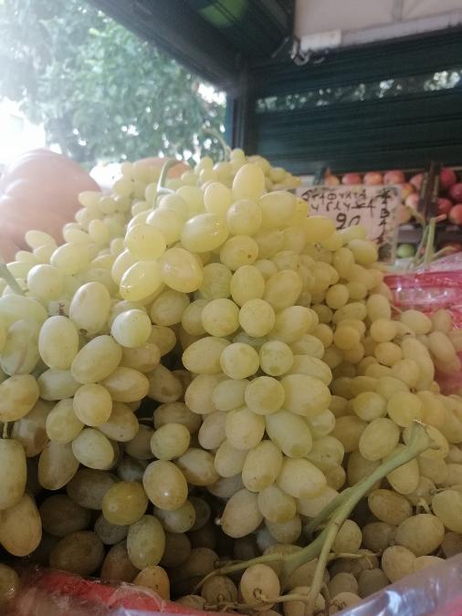 φρουτα λαχανικά κατ οικον παραδοση. ΣΙΣΚΟΣ ΠΑΤΗΣΙΑ