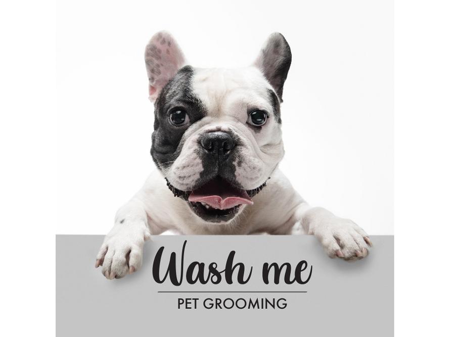 WashMe Grooming