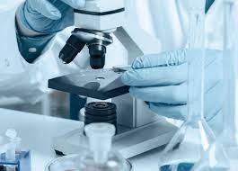 Βιοχημικές εξετάσεις Νέα Ιωνία, Μοριακές εξετάσεις Καλογρέζα, Μικροβιολόγος Νέα Ιωνία, Rapid test Νέα Ιωνία, Αιματολογικές εξετάσεις Νέα Ιωνία