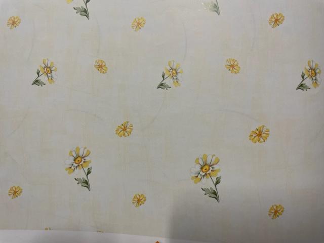 Τέντες με ναιλον Περιστέρι, Τέντες με μπράτσα, Τέντες με μηχανισμό, Τέντες με αντηρίδες Περιστέρι