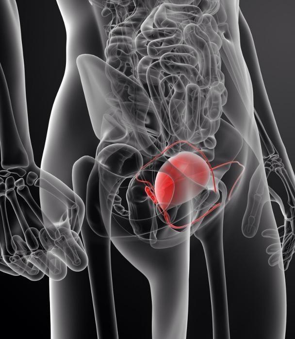 ΧΕΙΡΟΥΡΓΟΙ ΟΥΡΟΛΟΓΟΙ ΑΝΔΡΟΛΟΓΟΙ ΑΡΤΕΜΙΔΑ: Ουρολόγος Ανδρολόγος Αρτέμιδα